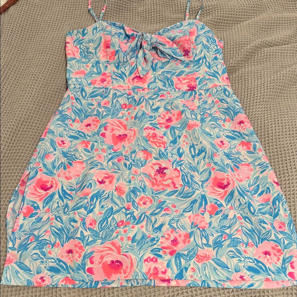 Lilly Pulitzer Pink and Blue Floral Dress